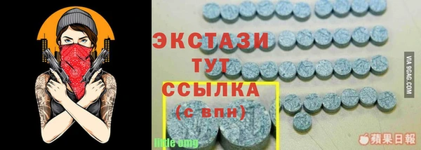 мдпв Осташков