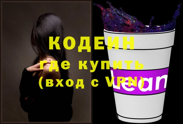 мдпв Осташков