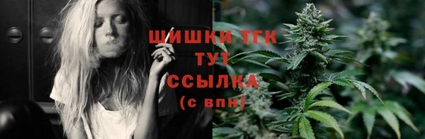 спайс Пересвет