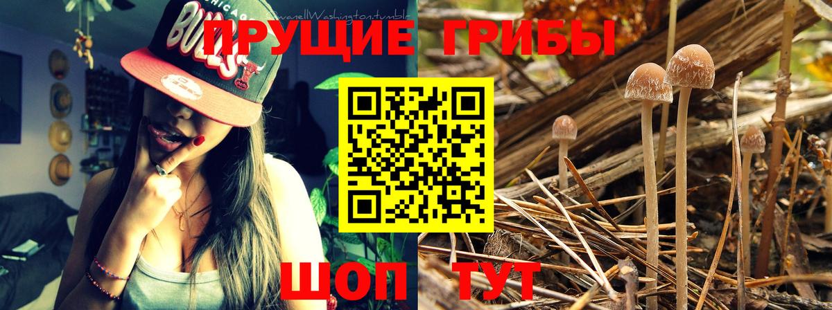Галлюциногенные грибы MAGIC MUSHROOMS Бугуруслан