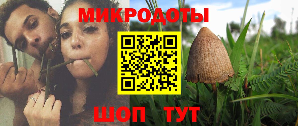 Бугуруслан  Псилоцибиновые грибы GOLDEN TEACHER  Галлюциногенные грибы Psilocybine cubensis  Вход с VPN 
